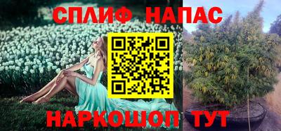 МДПВ Моздок
