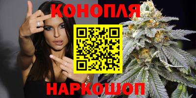 МДПВ Моздок