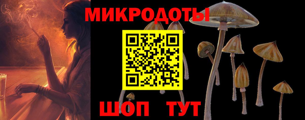 Псилоцибиновые грибы Psilocybine cubensis Славгород